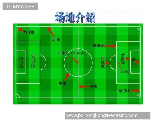 全面解析足球比赛规则助你成为赛场高手与球迷达人